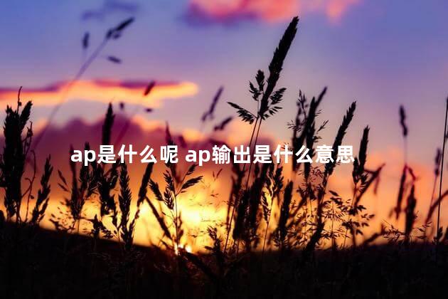 ap是什么呢 ap输出是什么意思